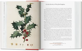 A Garden Eden. Masterpieces of Botanical Illustration. 40th Anniversary Edition, Lack H. Walter купить книгу в Либроруме A Garden Eden. Masterpieces of Botanical Illustration. 40th Anniversary Edition, Lack H. Walter купить книгу в Либроруме