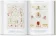 The Art and Science of Ernst Haeckel. 40th Anniversary Edition, Геккель Эрнст Haeckel Ernst Willmann Rainer Voss Julia купить книгу в Либроруме The Art and Science of Ernst Haeckel. 40th Anniversary Edition, Геккель Эрнст Haeckel Ernst Willmann Rainer Voss Julia купить книгу в Либроруме