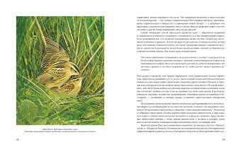 Иллюстрированная история орнитологии, Беркхед Тим купить книгу в Либроруме