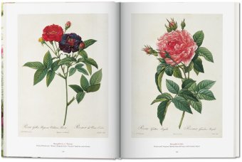 Redoute. The Book of Flowers, Lack H. Walter купить книгу в Либроруме Redoute. The Book of Flowers, Lack H. Walter купить книгу в Либроруме