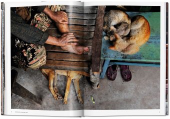 Steve McCurry. Animals, McCurry Steve Golden Reuel купить книгу в Либроруме Steve McCurry. Animals, McCurry Steve Golden Reuel купить книгу в Либроруме