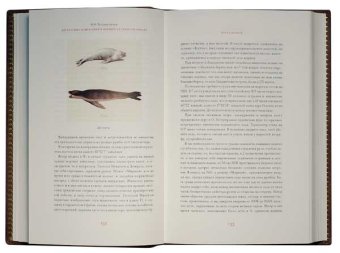 Двукратные изыскания в Южном Ледовитом океане и плавание вокруг света, Беллинсгаузен Фаддей Фаддеевич купить книгу в Либроруме