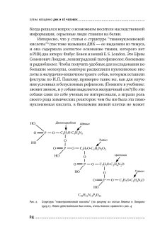 ДНК и её человек. Краткая история ДНК-идентификации, Клещенко Елена Владимировна купить книгу в Либроруме