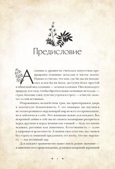 Зеленая магия. Сезонные ритуалы, зельетворчество, алхимия трав, Бусси Гейл купить книгу в Либроруме