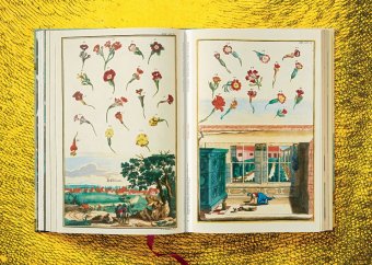 Volkamer. The Book of Citrus Fruits, Lauterbach Iris купить книгу в Либроруме Volkamer. The Book of Citrus Fruits, Lauterbach Iris купить книгу в Либроруме