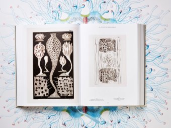 The Art and Science of Ernst Haeckel, Геккель Эрнст Haeckel Ernst Willmann Rainer Voss Julia купить книгу в Либроруме The Art and Science of Ernst Haeckel, Геккель Эрнст Haeckel Ernst Willmann Rainer Voss Julia купить книгу в Либроруме