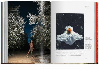 Plant Magick. The Library of Esoterica, Hundley Jessica купить книгу в Либроруме Plant Magick. The Library of Esoterica, Hundley Jessica купить книгу в Либроруме