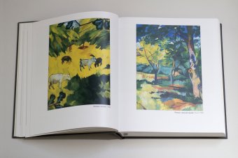 Наталия Гончарова, Луканова Алла Геннадьевна купить книгу в Либроруме Наталия Гончарова, Луканова Алла Геннадьевна купить книгу в Либроруме