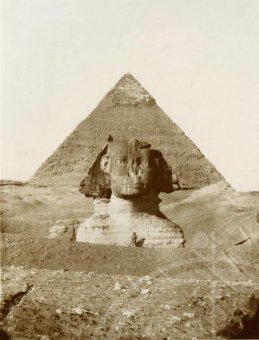 Новая история фотографии. Том 1, купить книгу в Либроруме