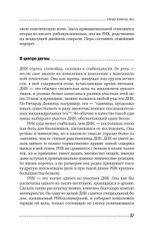 Хлопок одной ладонью. Как неживая природа породила человеческий разум, Кукушкин Николай Вадимович купить книгу в Либроруме Хлопок одной ладонью. Как неживая природа породила человеческий разум, Кукушкин Николай Вадимович купить книгу в Либроруме