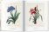 Redoute. The Book of Flowers, Lack H. Walter купить книгу в Либроруме Redoute. The Book of Flowers, Lack H. Walter купить книгу в Либроруме