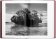 Sebastiao Salgado. Genesis, Salgado Lelia Wanick купить книгу в Либроруме Sebastiao Salgado. Genesis, Salgado Lelia Wanick купить книгу в Либроруме
