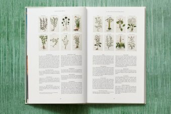 Leonhart Fuchs. The New Herbal, Dressendörfer Werner купить книгу в Либроруме Leonhart Fuchs. The New Herbal, Dressendörfer Werner купить книгу в Либроруме