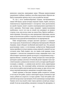 Что знает рыба. Внутренний мир наших подводных собратьев, Бэлкомб Джонатан купить книгу в Либроруме