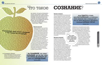 Используй психологию! Наука, которая помогает в жизни, Уикс Маркус купить книгу в Либроруме Используй психологию! Наука, которая помогает в жизни, Уикс Маркус купить книгу в Либроруме