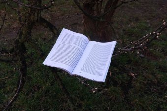 Что такое искусство?, Толстой Лев Николаевич Аронсон Олег Владимирович Эмерсон Кэрил купить книгу в Либроруме