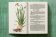 Leonhart Fuchs. The New Herbal, Dressendörfer Werner купить книгу в Либроруме Leonhart Fuchs. The New Herbal, Dressendörfer Werner купить книгу в Либроруме