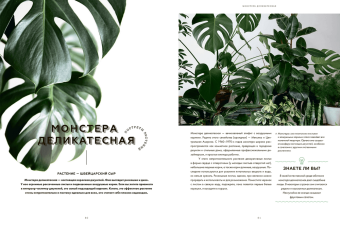 Urban Jungle. Как создать уютный интерьер с помощью растений, Йосифович Игорь Граф Джудит купить книгу в Либроруме