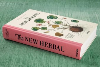 Leonhart Fuchs. The New Herbal, Dressendörfer Werner купить книгу в Либроруме Leonhart Fuchs. The New Herbal, Dressendörfer Werner купить книгу в Либроруме