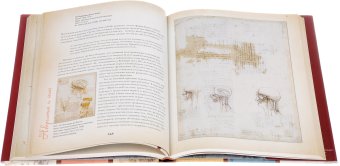 Леонардо. 500, купить книгу в Либроруме