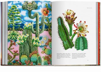 Plant Magick. The Library of Esoterica, Hundley Jessica купить книгу в Либроруме Plant Magick. The Library of Esoterica, Hundley Jessica купить книгу в Либроруме