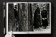 Helmut Newton. Legacy, Newton Helmut Garner Philippe купить книгу в Либроруме Helmut Newton. Legacy, Newton Helmut Garner Philippe купить книгу в Либроруме