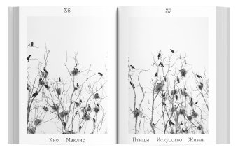 Птицы, искусство, жизнь. Год наблюдений, Маклир Кио купить книгу в Либроруме