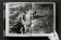 Helmut Newton. Legacy, Newton Helmut Garner Philippe купить книгу в Либроруме Helmut Newton. Legacy, Newton Helmut Garner Philippe купить книгу в Либроруме
