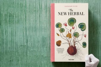Leonhart Fuchs. The New Herbal, Dressendörfer Werner купить книгу в Либроруме Leonhart Fuchs. The New Herbal, Dressendörfer Werner купить книгу в Либроруме