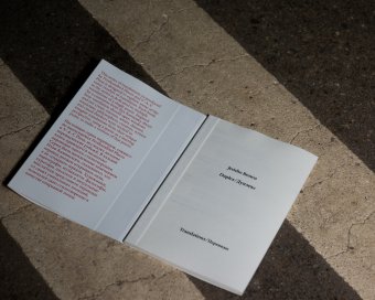 Дуплекс, Джерико Браун купить книгу в Либроруме Дуплекс, Джерико Браун купить книгу в Либроруме