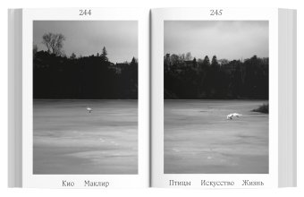 Птицы, искусство, жизнь. Год наблюдений, Маклир Кио купить книгу в Либроруме