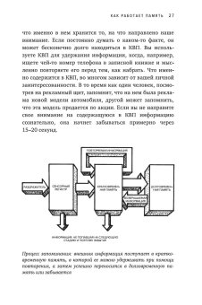 Память. Пронзительные откровения о том, как мы запоминаем и почему забываем, Лофтус Элизабет купить книгу в Либроруме