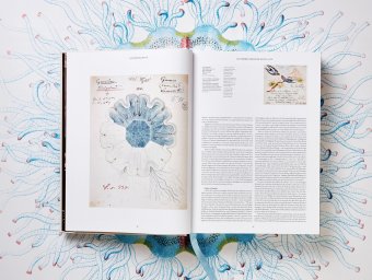 The Art and Science of Ernst Haeckel, Геккель Эрнст Haeckel Ernst Willmann Rainer Voss Julia купить книгу в Либроруме The Art and Science of Ernst Haeckel, Геккель Эрнст Haeckel Ernst Willmann Rainer Voss Julia купить книгу в Либроруме