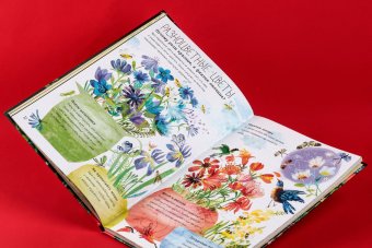 Большая книга цветов, Зоммер Юваль купить книгу в Либроруме