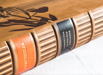 Аналитика. Политика. Риторика, Аристотель купить книгу в Либроруме