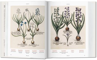 Florilegium. The Book of Plants - The Complete Plates, Littger Klaus Walter Dressendörfer Werner купить книгу в Либроруме Florilegium. The Book of Plants - The Complete Plates, Littger Klaus Walter Dressendörfer Werner купить книгу в Либроруме