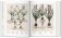 Florilegium. The Book of Plants - The Complete Plates, Littger Klaus Walter Dressendörfer Werner купить книгу в Либроруме Florilegium. The Book of Plants - The Complete Plates, Littger Klaus Walter Dressendörfer Werner купить книгу в Либроруме