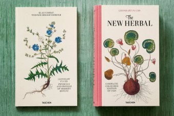 Leonhart Fuchs. The New Herbal, Dressendörfer Werner купить книгу в Либроруме Leonhart Fuchs. The New Herbal, Dressendörfer Werner купить книгу в Либроруме