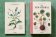 Leonhart Fuchs. The New Herbal, Dressendörfer Werner купить книгу в Либроруме Leonhart Fuchs. The New Herbal, Dressendörfer Werner купить книгу в Либроруме