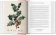 A Garden Eden. Masterpieces of Botanical Illustration, Lack H. Walter купить книгу в Либроруме A Garden Eden. Masterpieces of Botanical Illustration, Lack H. Walter купить книгу в Либроруме