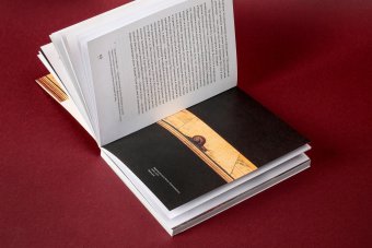 Взгляд улитки. Описания неочевидного, Арасс Даниэль купить книгу в Либроруме