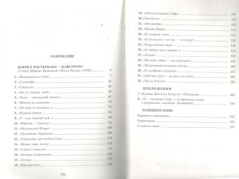 Борису Пастернаку - навстречу! Марина Цветаева. О книге Марины Цветаевой После России. 1928 год, Айзенштейн Елена Оскаровна купить книгу в Либроруме