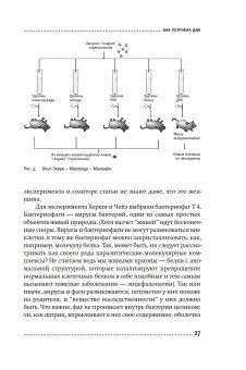 ДНК и её человек. Краткая история ДНК-идентификации, Клещенко Елена Владимировна купить книгу в Либроруме