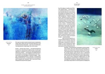 Синий - цвет жизни и смерти. Метафизика цвета, Балека Ян купить книгу в Либроруме Синий - цвет жизни и смерти. Метафизика цвета, Балека Ян купить книгу в Либроруме