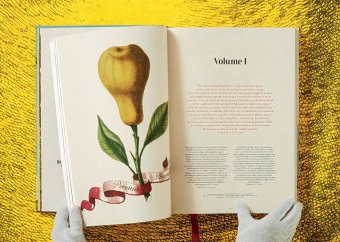 Volkamer. The Book of Citrus Fruits, Lauterbach Iris купить книгу в Либроруме Volkamer. The Book of Citrus Fruits, Lauterbach Iris купить книгу в Либроруме