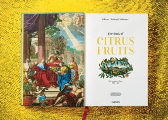 Volkamer. The Book of Citrus Fruits, Lauterbach Iris купить книгу в Либроруме Volkamer. The Book of Citrus Fruits, Lauterbach Iris купить книгу в Либроруме