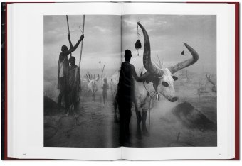 Sebastiao Salgado. Genesis, Salgado Lelia Wanick купить книгу в Либроруме Sebastiao Salgado. Genesis, Salgado Lelia Wanick купить книгу в Либроруме