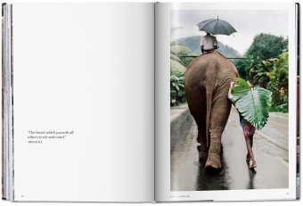Steve McCurry. Animals, McCurry Steve Golden Reuel купить книгу в Либроруме Steve McCurry. Animals, McCurry Steve Golden Reuel купить книгу в Либроруме