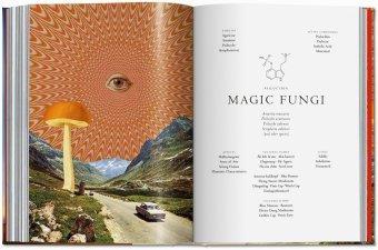 Plant Magick. The Library of Esoterica, Hundley Jessica купить книгу в Либроруме Plant Magick. The Library of Esoterica, Hundley Jessica купить книгу в Либроруме