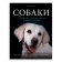 Собаки. Подарочная иллюстрированная энциклопедия, Шкляев Андрей Николаевич купить книгу в Либроруме